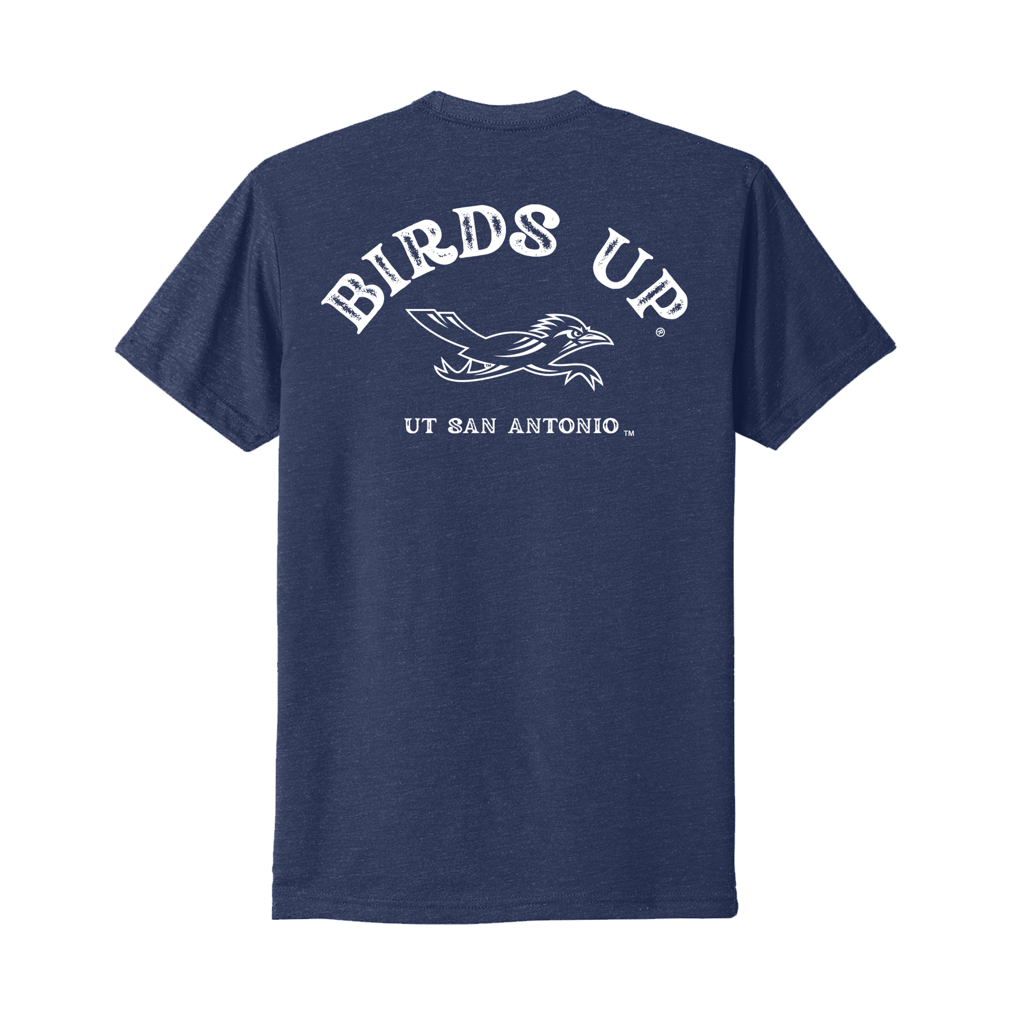 UTSA - Birds Up Stamped Tee